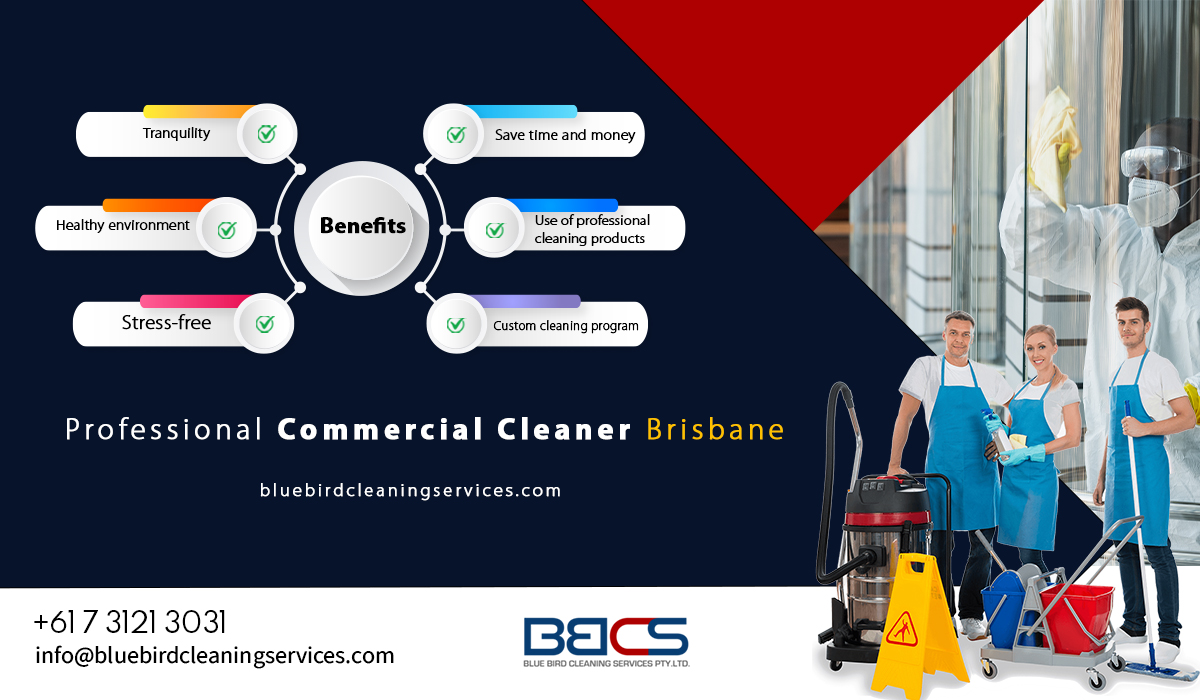 Professional Commercial Cleaner- A Brief Guide